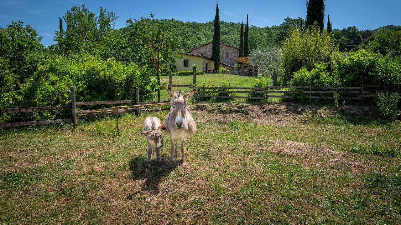 Agriturismo I Pietrini Perugia Kültér fotó